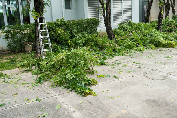 Leaf Removal in Conover, NC